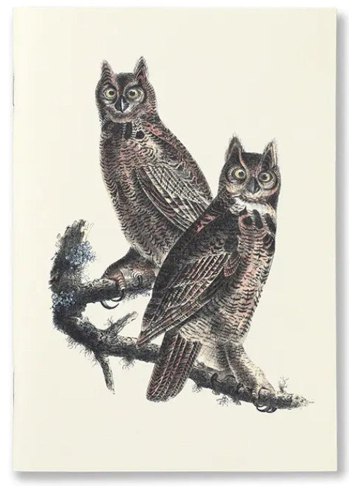 Notebook: Birds of America, cover