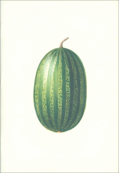 Notebook: Vegetable Garden and Fruit Garden, cover