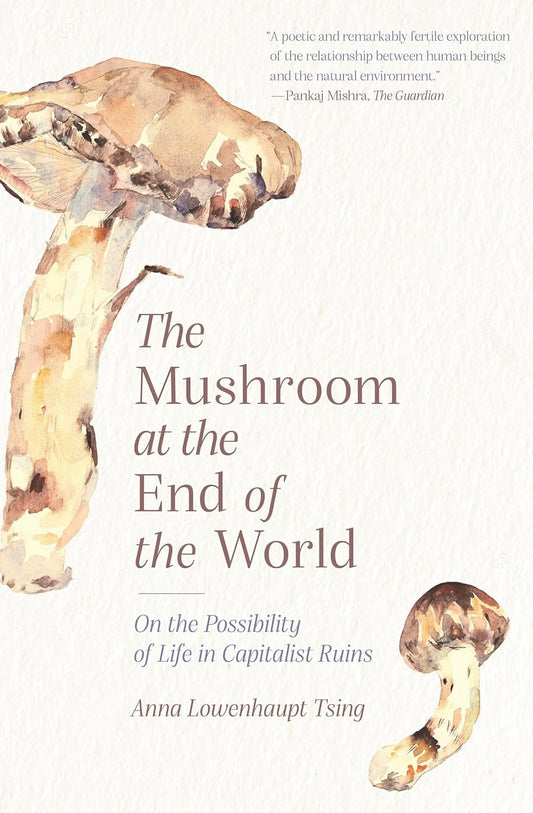 The Mushroom at the End of World