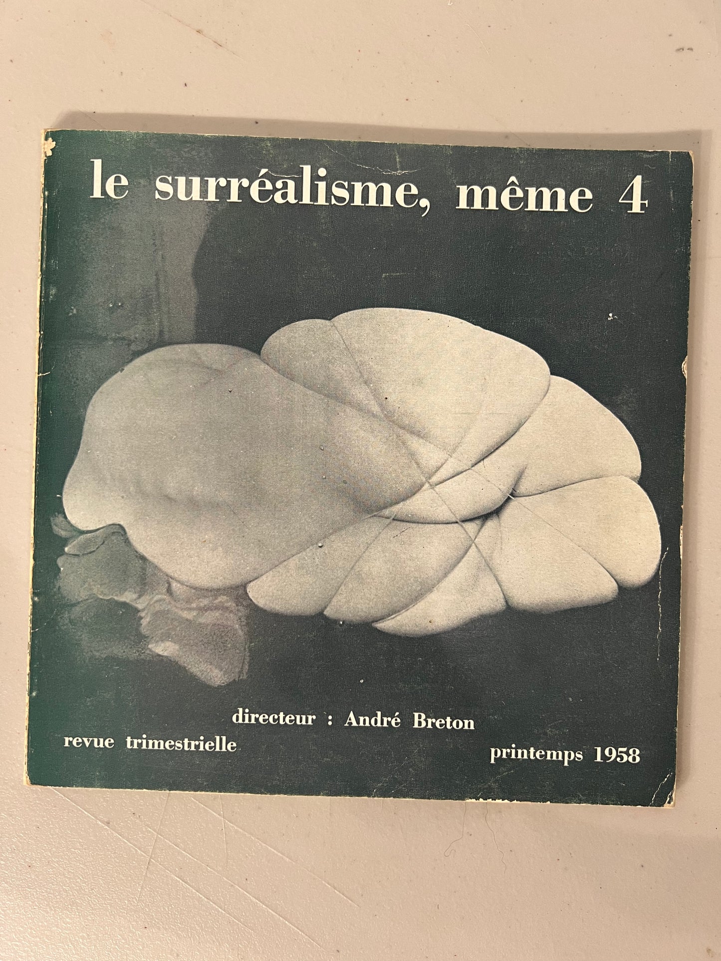 Le Surrealisme meme 4