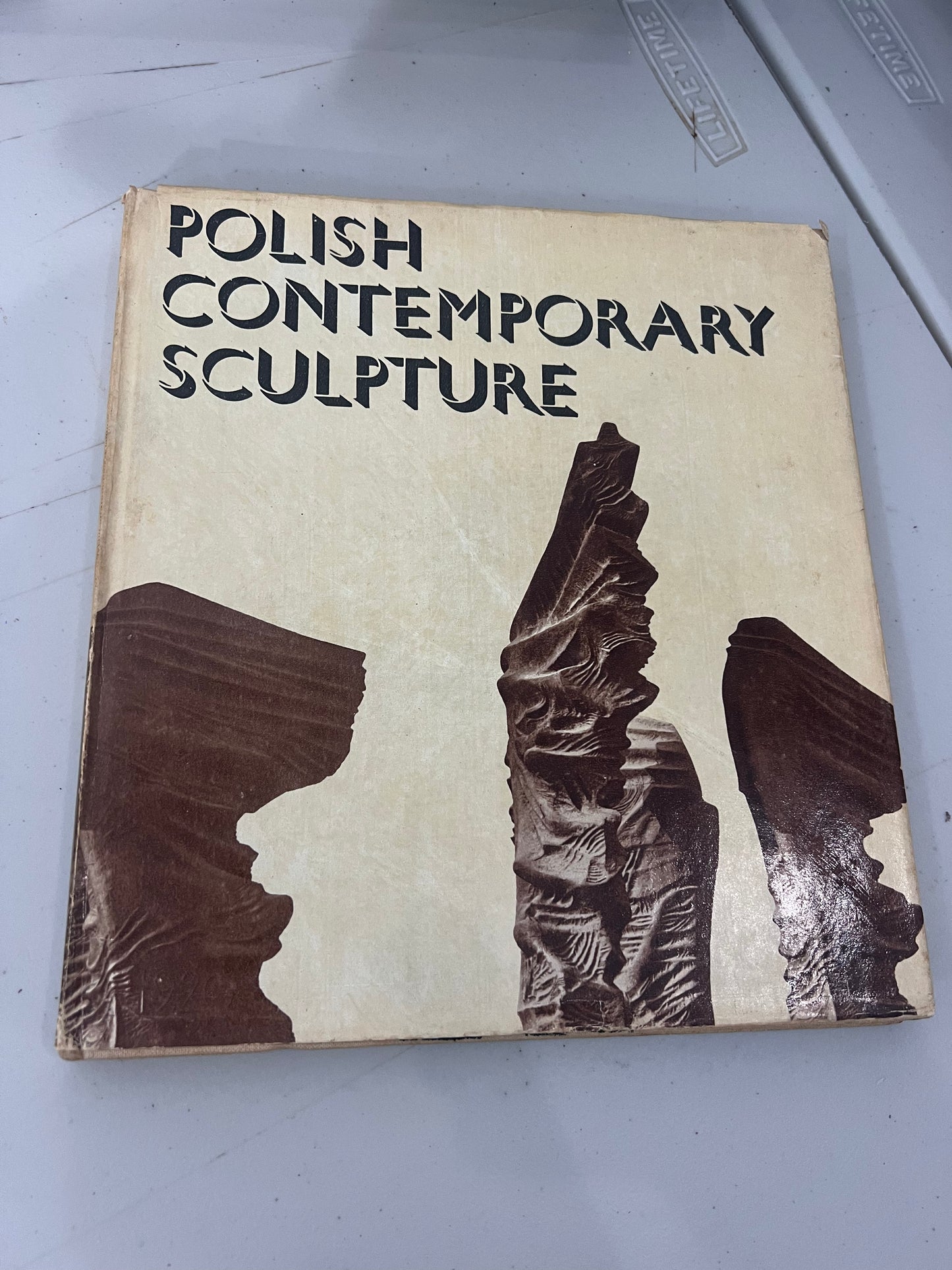 Polish Contemporary Sculpture