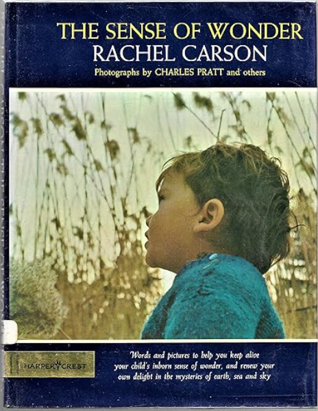 Rachel Carson The Sense Of Wonder