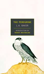 The Peregrine - J.A. Baker